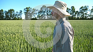 Profile of young male farmer in hat walking over green wheat field on his farm. Confident man going on cereal plantation