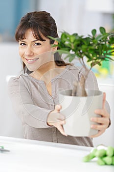 profile young woman holding bonsai tree