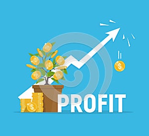 Profit concept. Financial growth. Investments and revenue increase.