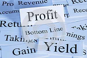 Profit Concept in Words photo