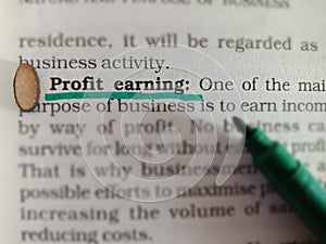 profit earning words displaying on paper theory underlined text form