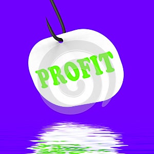 Profit On Hook Displays Financial Incomes And Earnings