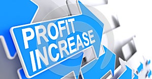 Profit Increase - Text on the Blue Cursor. 3D.