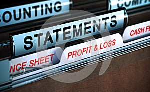 Profit and loss statement