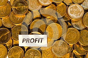 Profit sign at a stack of golden coins