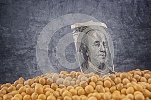 Profit from soybean cultivation