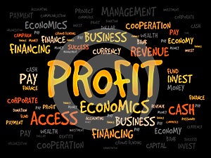 PROFIT word cloud