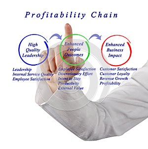 Profitability Chain