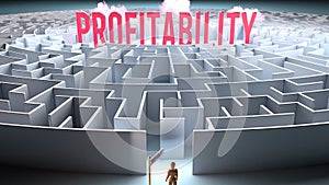 Profitability and a complicated path to it