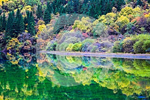 Profusion of autumn color on the lake photo