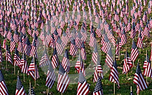A Profusion of Flags