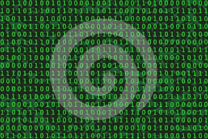 Program datum background. Green programming binary coding. Matrix