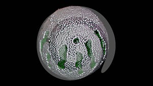 Programmable matter forming a sphere. 3d render illustration View 6
