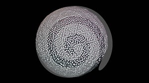 Programmable matter forming a sphere. 3d render illustration View 8