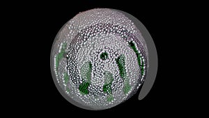 Programmable matter forming a sphere. 3d render illustration View 6 photo