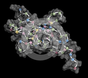 Programmed cell death 1 PD-1, CD279 receptor protein. PD-1 is a major cancer drug target.