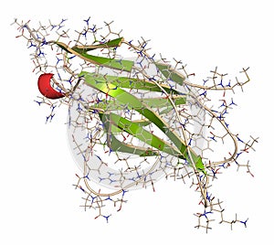 Programmed cell death 1 PD-1, CD279 receptor protein. PD-1 is a major cancer drug target.