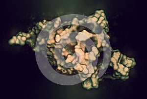 Programmed cell death 1 (PD-1, CD279) receptor protein, 3D rendering. PD-1 is a major cancer drug target. Cartoon representation photo