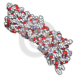 Programmed death-ligand 1 PD-L1 protein. Produced by tumor to suppress the immune system. Blockers of the PD-L1 and PD-1.