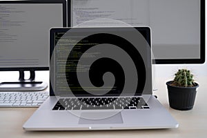 Programmer working Developing programming technologies Web Design Online Technology