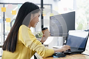 Programmers and developer teams are coding and developing software.