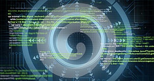 Programming code and data processing image over circular digital interface