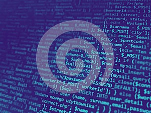 Programming code on monitor screen. Developer work. Abstract background for search job.