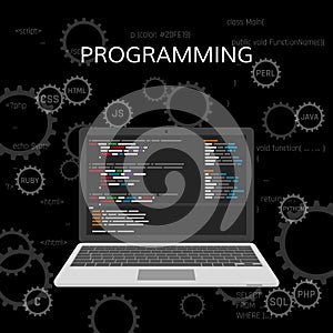 Programming and coding. Web development concept. vector photo