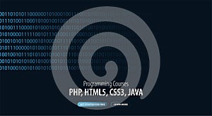 Programming Courses. Website or mobile app landing page. Vector Illustration.