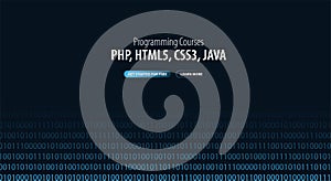 Programming Courses. Website or mobile app landing page. Vector Illustration.