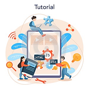 Programming online service or platform. Idea of working