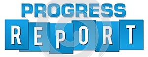 Progress Report Blue Professional