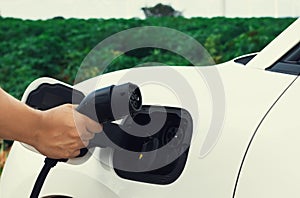 Progressive natural scenic of hand insert charging plug to EV car.