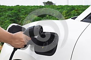 Progressive natural scenic of hand insert charging plug to EV car.