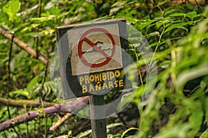 Prohibido Banarse sign in the foliage