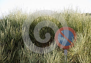 Prohibited parking sign between a broom. photo