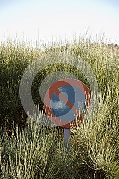 Prohibited parking sign between a broom. photo