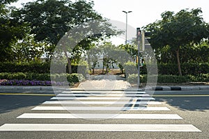 prohibited traffic light signal. White stripes of pedestrian crossing. white road markings on the highway.