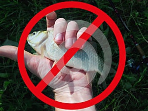 Prohibiting the concept of fishing. Fish in the hand and prohibitory sign Problem of fishing in ponds and lakes