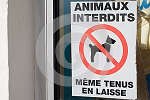 Prohibiting red signs animals prohibited even on a leash dog sign french text means animaux interdits mÃÂªme tenus en laisse on photo