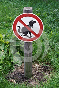 Prohibition sign no dog pooping