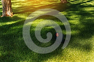 The prohibitive sign Do not walk the lawn against the green lawn in soft sunlight. It is forbidden to walk on the lawn