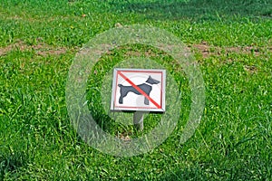 The prohibitive sign `Not for dog walking`