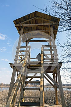 bird observatory in Vacaresti Natural Park photo