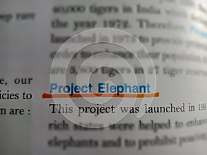 project elephant text written on paper page with text underlined pattern