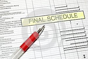 Project Final Schedule