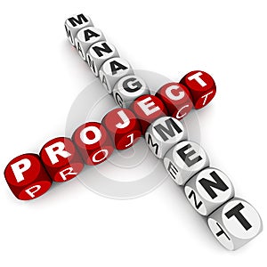 Project management