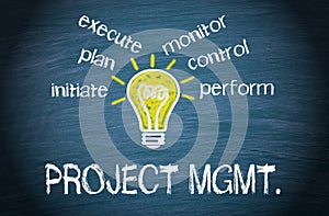 Project management