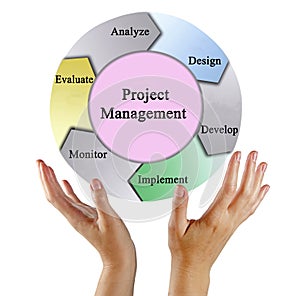 Project management process