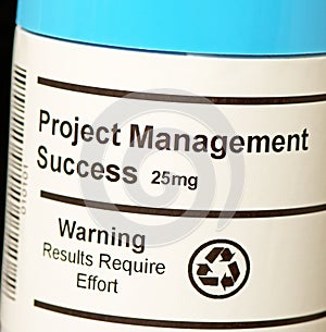 Project Management Success